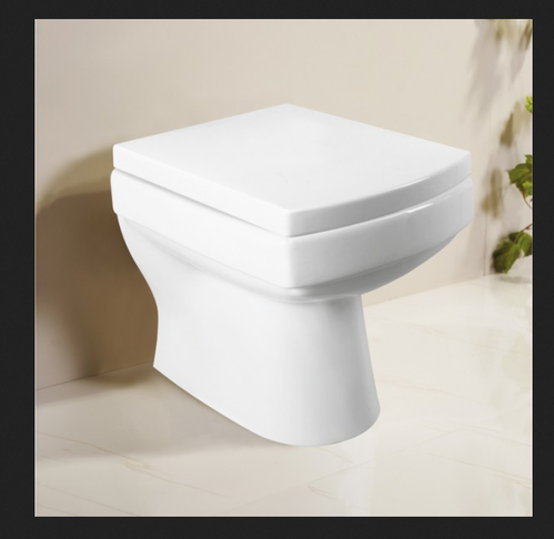 Floor Mounted Toilet